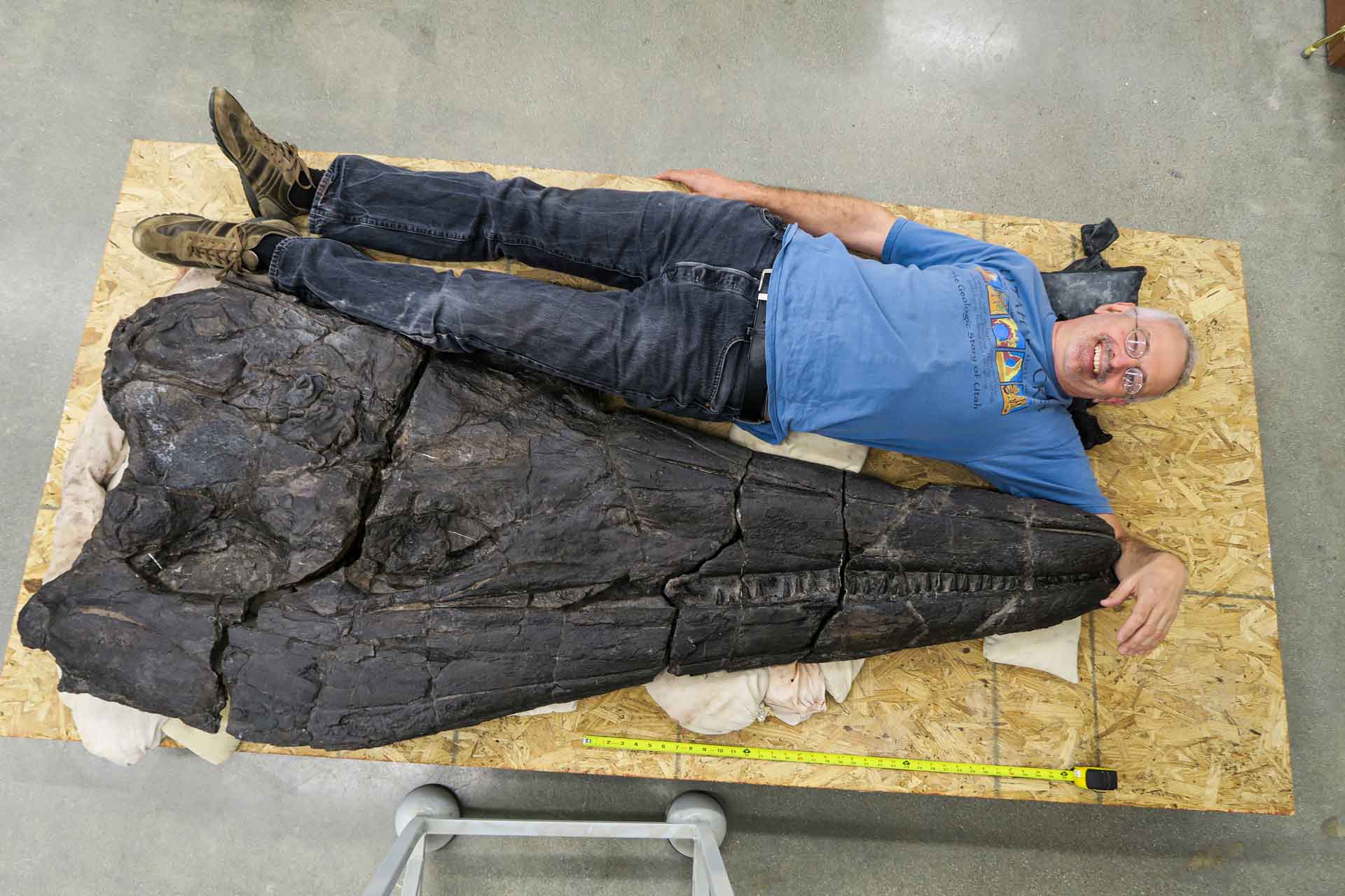 Le Prof. Sander pose à côté d’un crâne d’ichytosaure géant trouvé dans le Nevada.